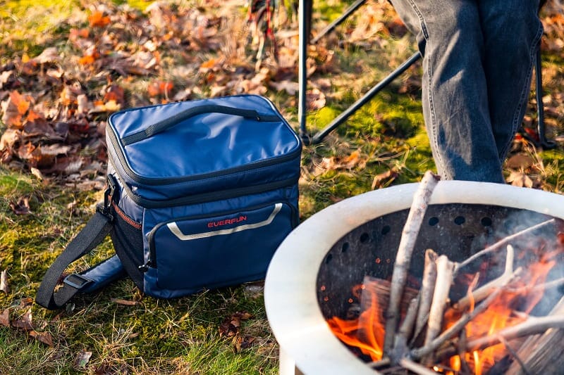 cooler lunch bag for picnic