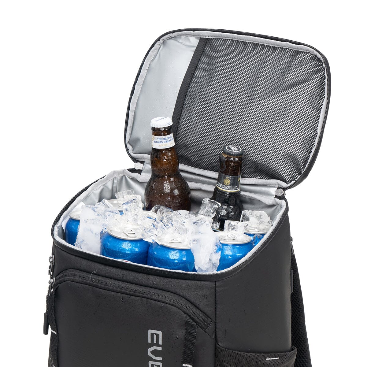 Frost Insulated Cooler Backpack