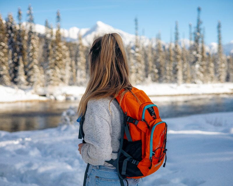 buy hydration backpack for hiking with dogs: 